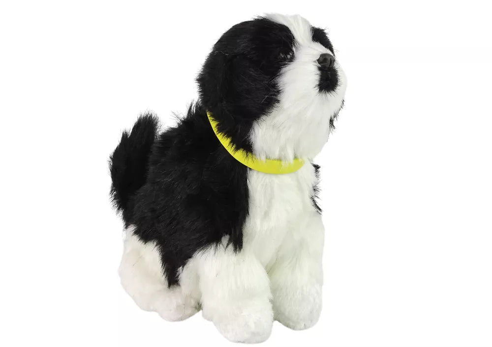 Interaktyvus pliušinis šuniukas – Border Collie veislė